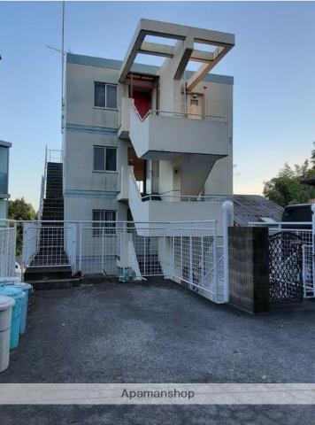 メイフラワー柿生