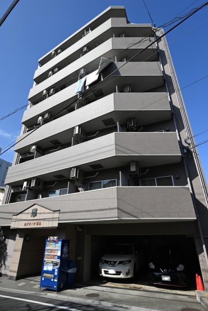 カテリーナ馬込