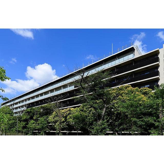 パークアクシス品川南大井パークフロント(2LDK/4階)