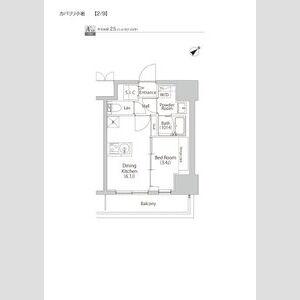 カパリリ小岩(1DK/3階)の間取り写真