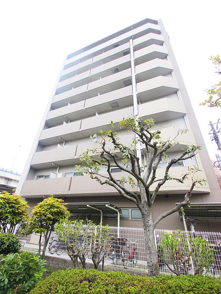 ディライトコート