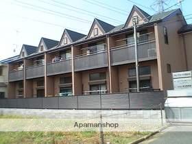 コンフォートM&N