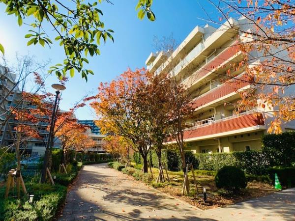 BRILLIA IST 三軒茶屋 ブラッサムテラス[8階]