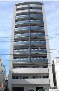 ニューボンデージ