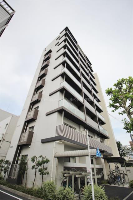 ソレアード ゼン