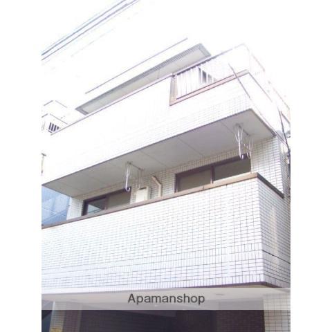 MSコート