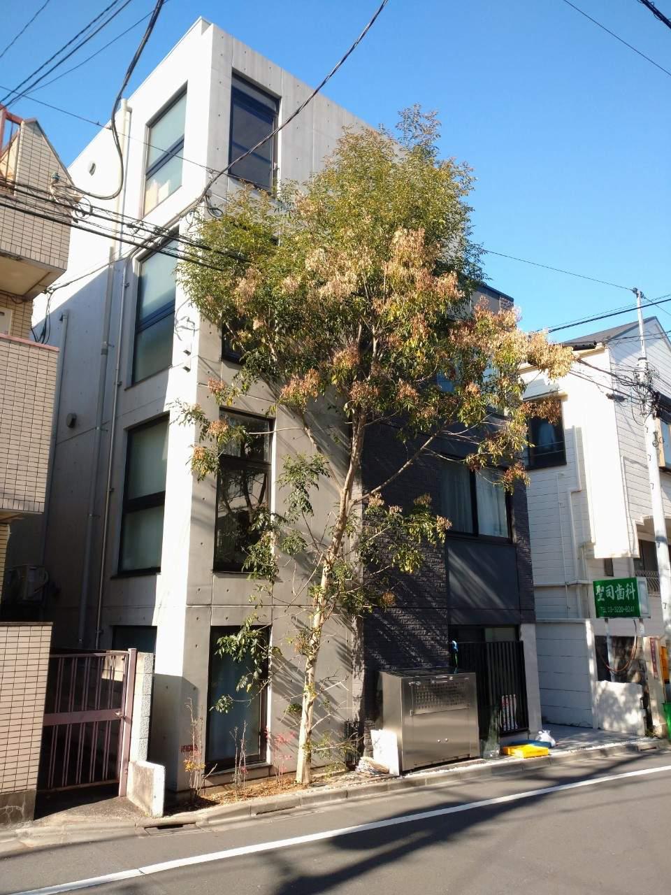 LA PERLA OGIKUBO