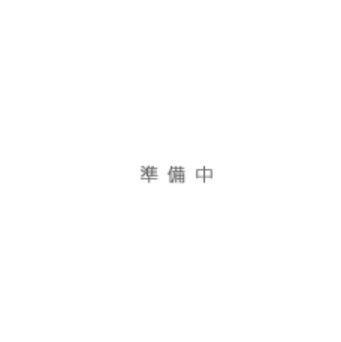 矢口1丁目工事(1LDK/1階)