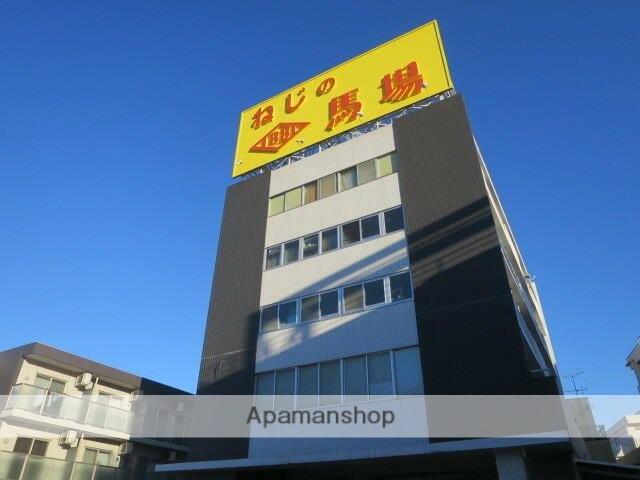 スプリングパルババ
