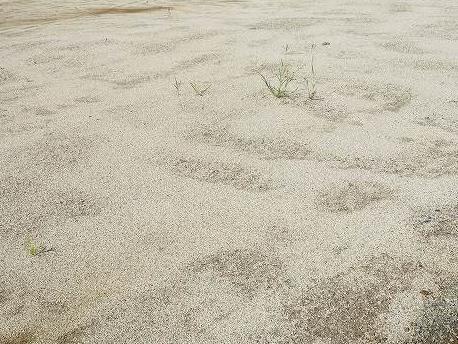 ミレーネ滝野川