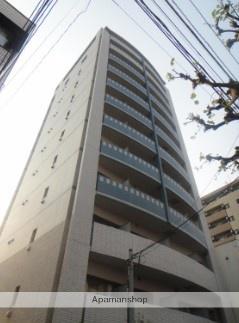 ニューボンデージ