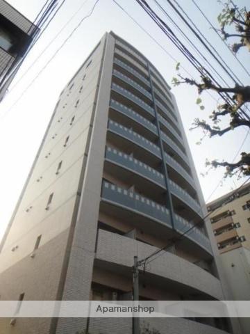 ニューボンデージ