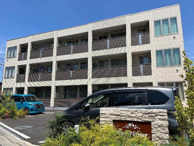 スターフラワー