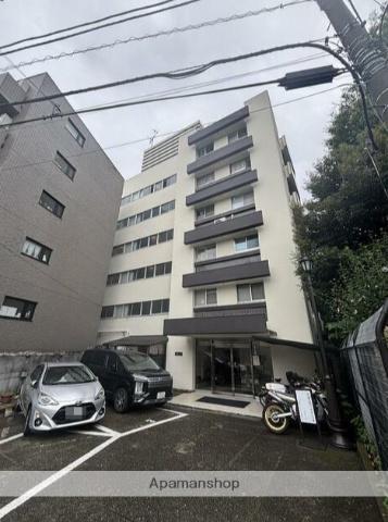 中野薬師マンション