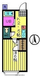 ハイツオーキッド(1K/1階)の間取り写真