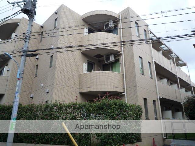 アカンサス