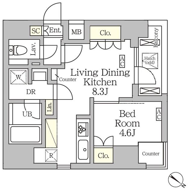 アジールコート松濤(1LDK/11階)の間取り写真