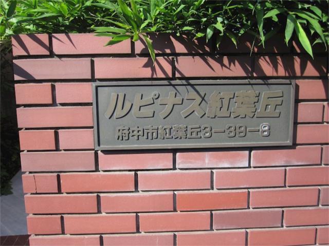 ルピナス紅葉丘(ワンルーム/1階)
