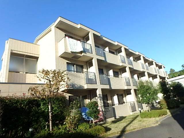 ドルフ喜多見(ワンルーム/1階)