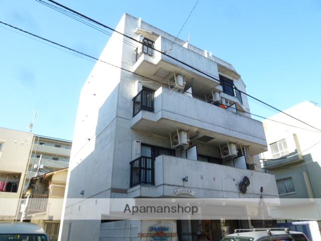 ステラートオーラム