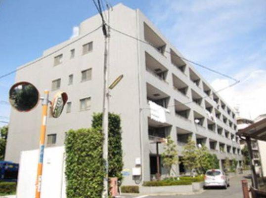 エコタワーバオバブ