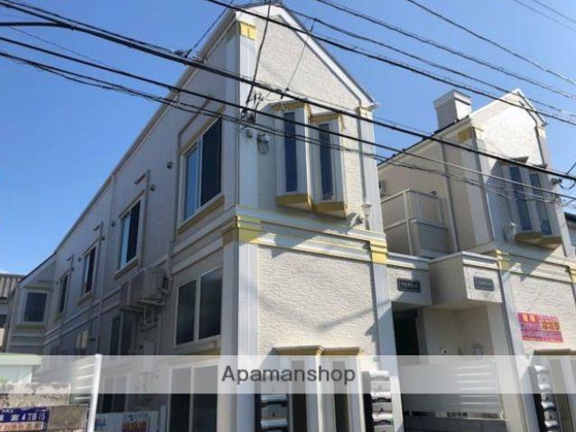 ソフィアポップ