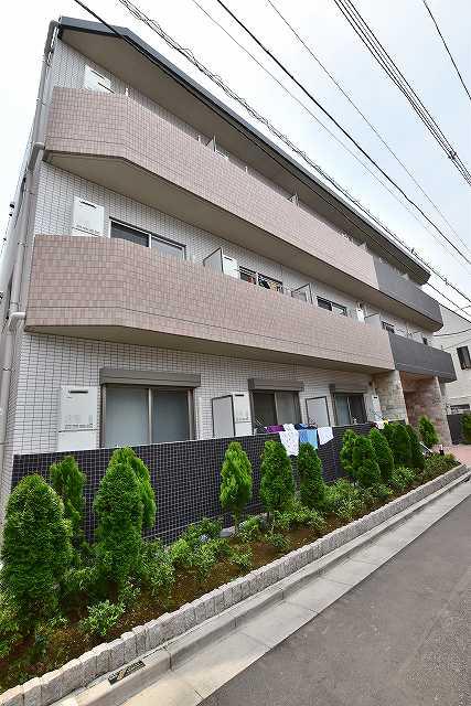 セレッソ 和 Ⅱ