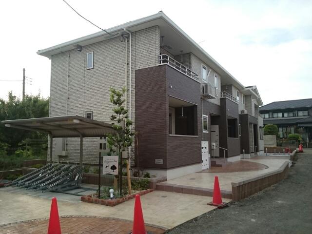 エヴァーグリーンオーク