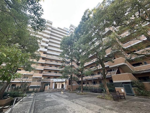 ルネ・ベイグランデ