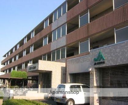 エステート柿の木