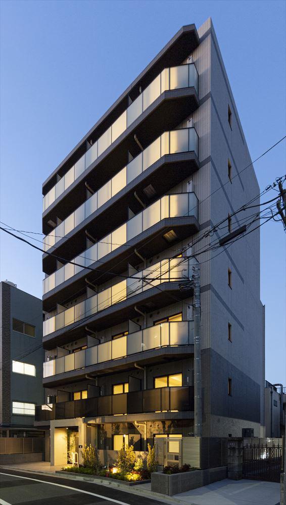 DIPS野方