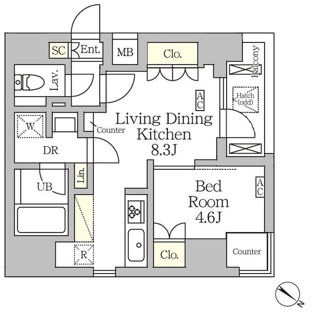 アジールコート松濤(1LDK/11階)の間取り写真