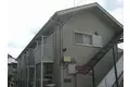 コスモ・ポーリー