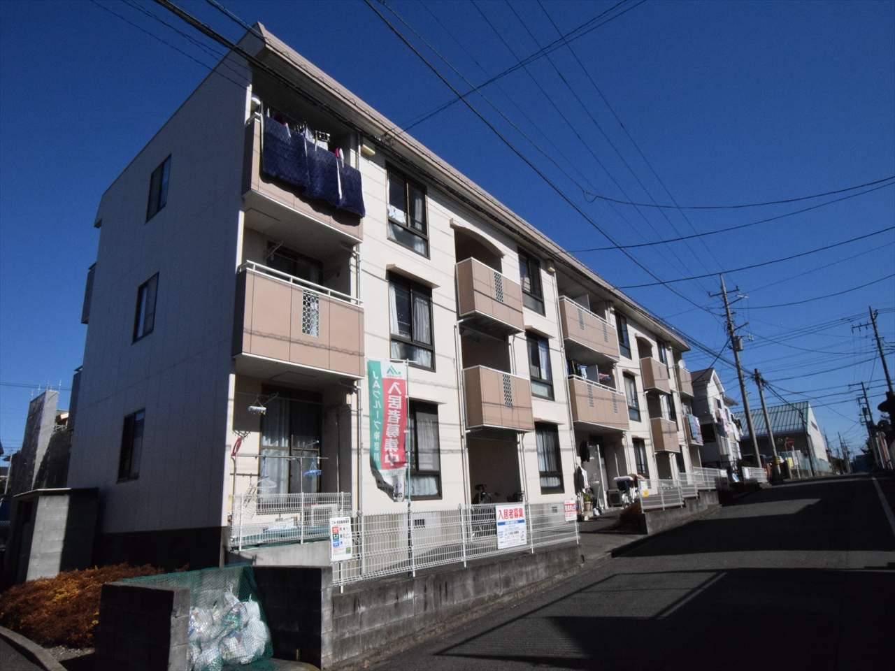 ハイムサエグサ D