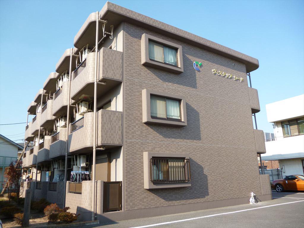 ウィステリアシード