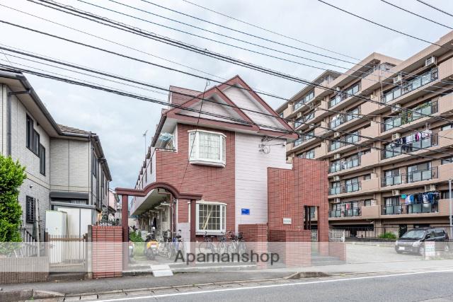 ゼフィランサス橋本