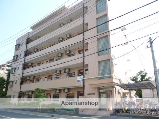 ルルド・タカハラ