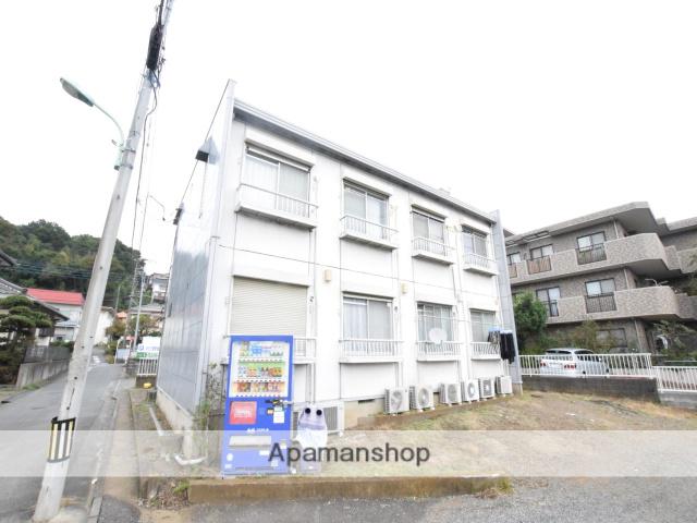 ハイムグリーンバード