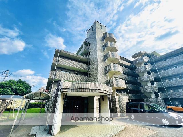 ドルフソニアドーロ