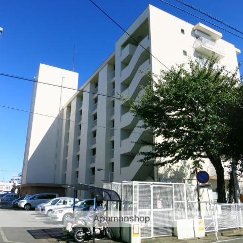 相模大野ハイツB棟(2LDK/1階)