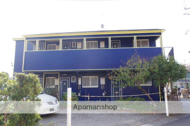 マリンフォード林