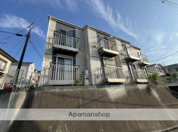 サザン・ラキシス