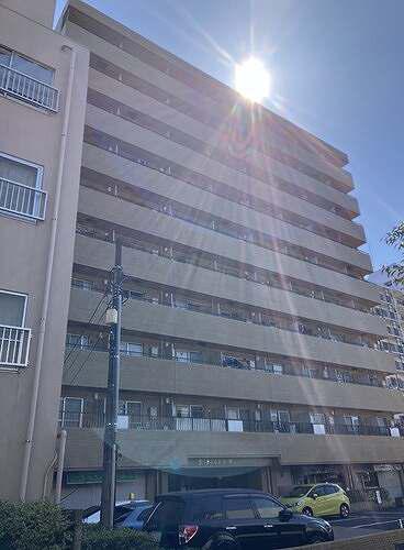 ダイアパレス根岸