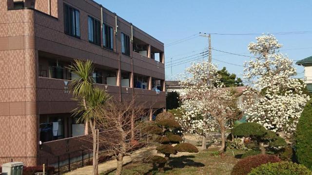 ノーブルヒル