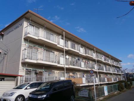 ハビテーションWADA