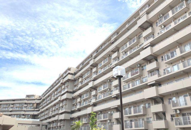 戸塚ハイライズ(3LDK/8階)