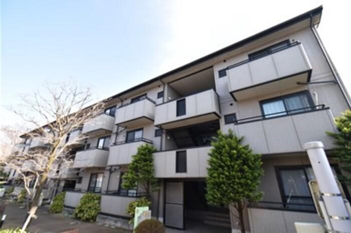 アルファタウン秦野新町 B棟(2LDK/3階)