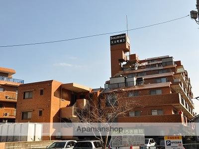 ライオンズマンション天王町第3