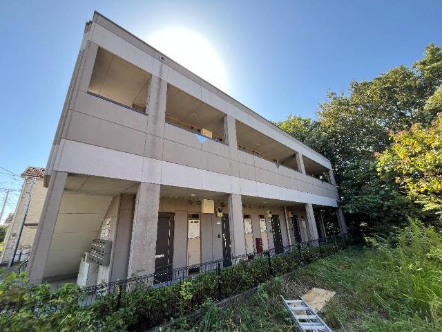 ロズウェルシブヤ