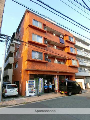 PAULOWNIAVAIIEYTAKE3天王町パウロニアバ